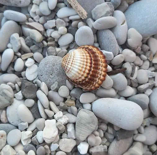 Holiday home Eva's House